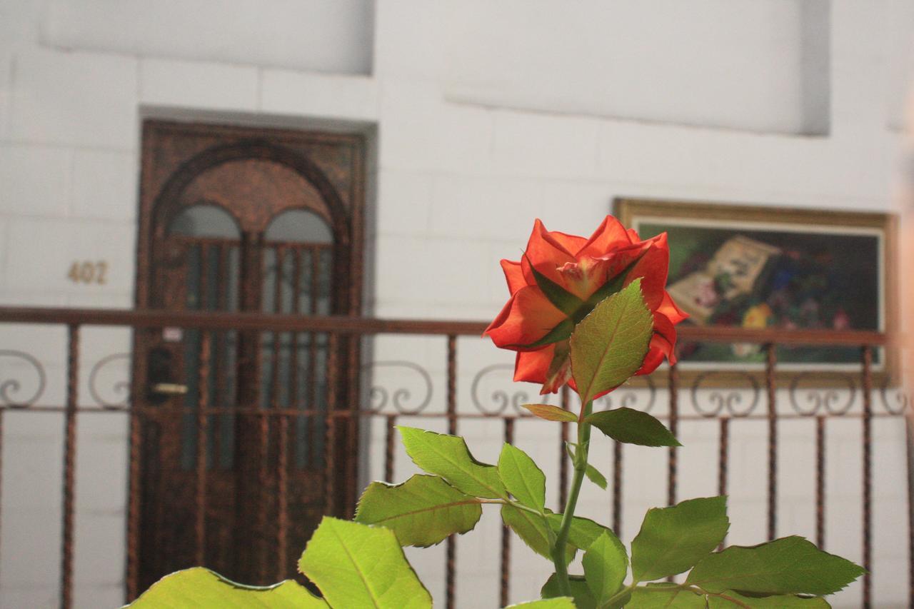 Casa De La Luna مدينة مكسيكو المظهر الخارجي الصورة